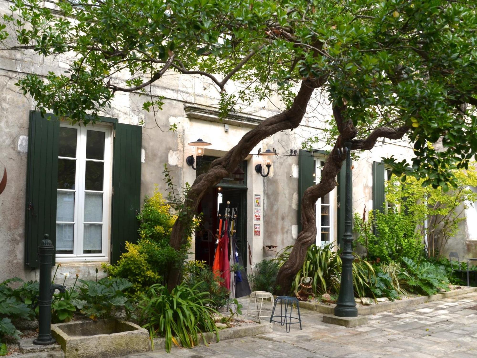 Le Mole Bed & Breakfast La Flotte Dış mekan fotoğraf